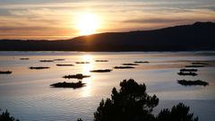 Bateas de la ra de Arousa, desde A Illa.