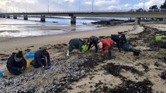 Mariscadoras intentando salvar marisco en O Castelete (Arousa).