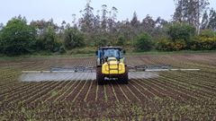 Imagen de una finca afectada por esta plaga