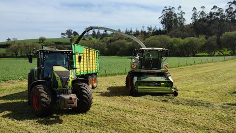 Las cosechadoras inician estos d�as la campa�a del ensilado en la comarca