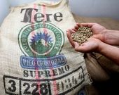 La empresa arousana trabaja con caf�s especiales de todo el planeta.