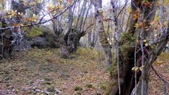 �Verbas do souto�, un v�deo realizado no colexio Poeta Ux�o Novoneyra