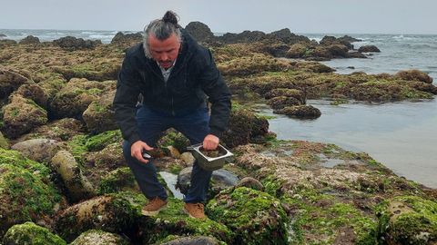 En las playas de Le�a da Palmeira, el chef Gil Fernandes, con una estrella Michelin,�recoge hasta quince tipos de algas, que utilizar� para preparar el plato Mundo de las algas, en una comida a cuatro manos con Rui Paula.