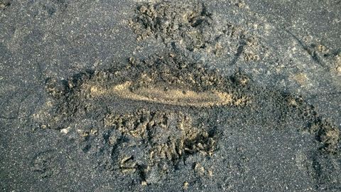 Detalle de la mancha de carbón en la arena de San Lorenzo