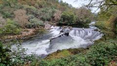 Este 26 de octubre, el caudal del Lrez en la estacin de bombeo de Monte Porreiro superaba los 17,9 metros cbicos por segundo