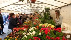 Feira das Flores de Vilarmaior