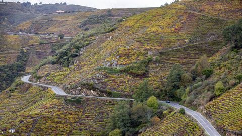 En la ribeira de Doade estn algunas de las vias con mayor pendiente