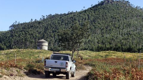 El programa permiti� cuidar el a�o pasado 46 hect�reas de monte de las comunidades de Vilagarc�a