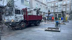 Poda de �rboles en Xinzo