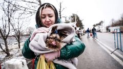 Una refugiada ucraniana, con su perro en la frontera con Ruman�a