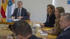 Alfonso Rueda, en el Consello da Xunta de este lunes 