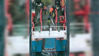 Sea Sheperd France grab&oacute; en marzo del 2025 a un arrastrero gallego que hab&iacute;a capturado accidentalmente delfines.