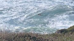 Un surfista consigui� alcanzar al ba�ista, pero tuvo que dejar el rescate por el fuerte oleaje. Comprob� entonces que el ba�ista ya no respiraba