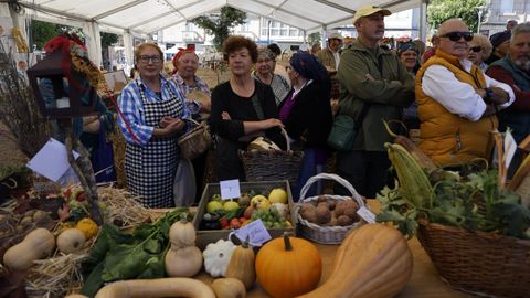 Festa da Pataca en Vilar de Barrio.
