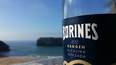 Botella de agua de Borines