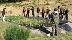 Imagen de archivo de la primera depuradora de macr�fitas en flotaci�n instalada en Galicia, situada en As Corcerizas, en el municipio ourensano de Vilar de Barrio. Se trata de un centro de educaci�n ambiental que en el 2004 impuls� este sistema natural pionero.