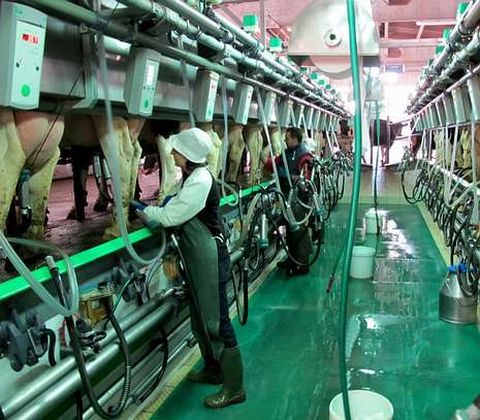 Los ganaderos est�n cobrando dos c�ntimos m�s en el �ltimo semestre.