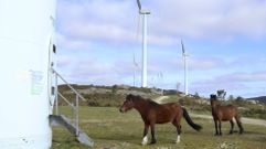 El parque e�lico de Forgoselo, en San Sadurni�o