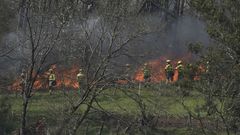 Miembros de la UME tratan de sofocar el fuego sobre Navelgas