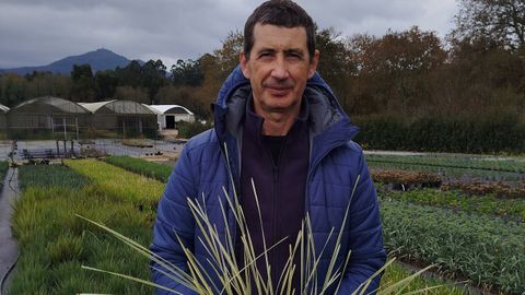 El gerente de Viveiros da Barxa, �scar Vaquero, junto a los cultivos de gram�neas y vivaces que planta en sus terrenos del Baixo Mi�o.