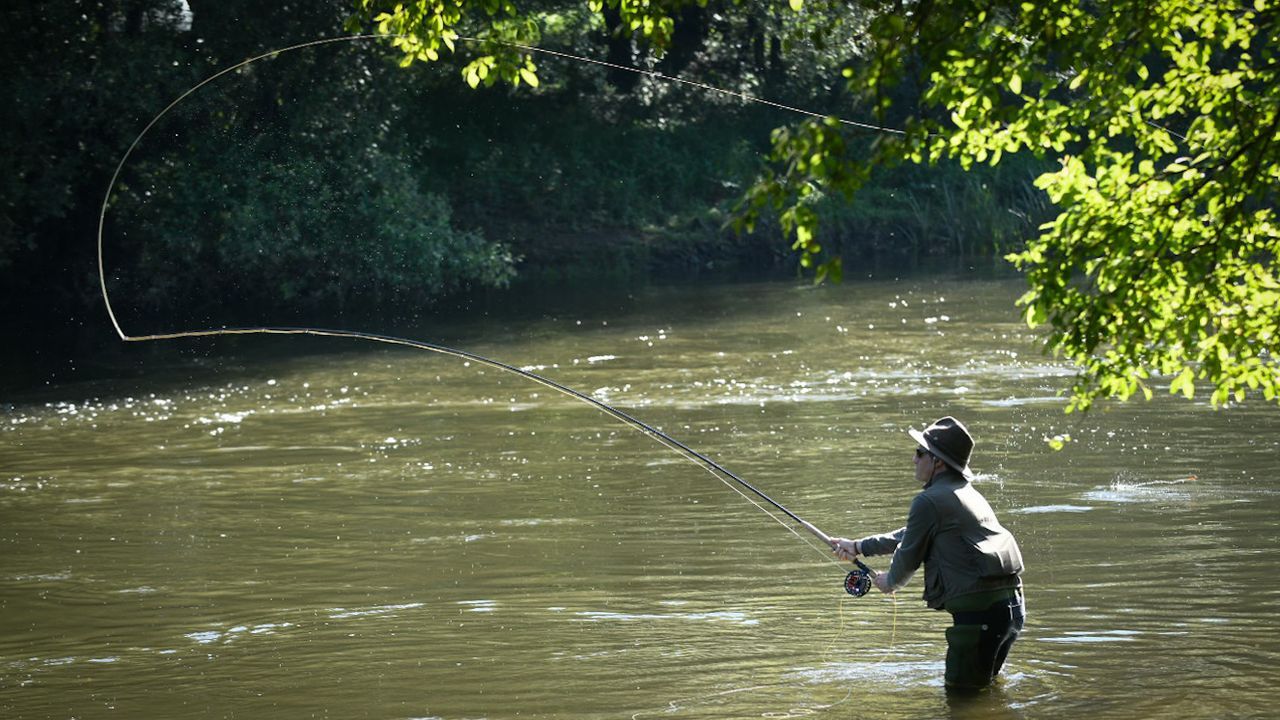 «Querido amigo salmón, espero que salgas indemne de esta cacería»