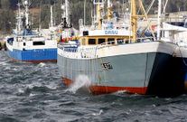Incluso en el interior de la d�rsena de Celeiro se not� el temporal.