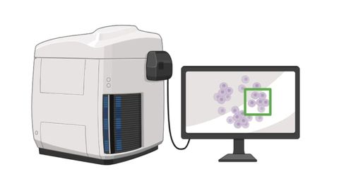 Concepto ilustrativo del proyecto�BIOPS-IA