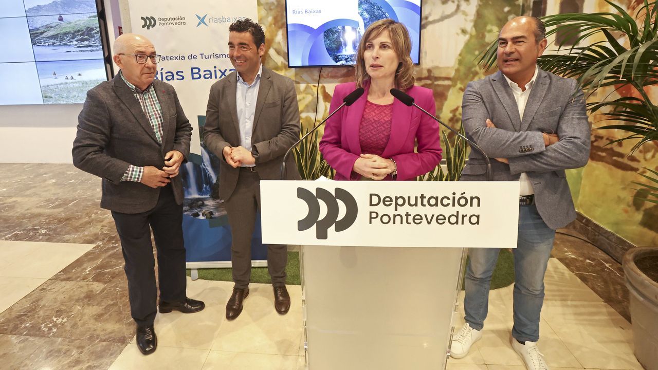 La Diputación de Pontevedra recaba la experiencia del sector para ...