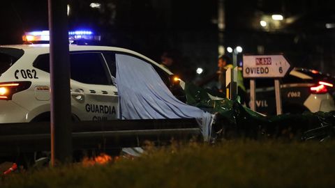  La Guardia Civil ha detenido este lunes a un hombre de 46 aos por presuntamente matar y decapitar a su padre en el concejo asturiano de Ribera de Arriba