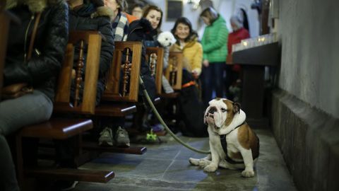 MISA Y BENDICIN DE LAS MASCOTAS CON MOTIVO DEL SAN ANTONIO EN LA IGLESIA DE LA ORDEN TERCERA