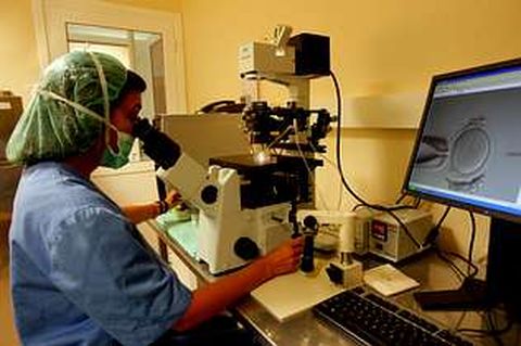 La donación de gametos se necesita para la fecundación in vitro.