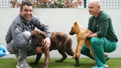 El presidente de la Diputaci�n de Pontevedra, Luis L�pez, visitando el Centro de Acogida y Protecci�n de Animales (CAAN)