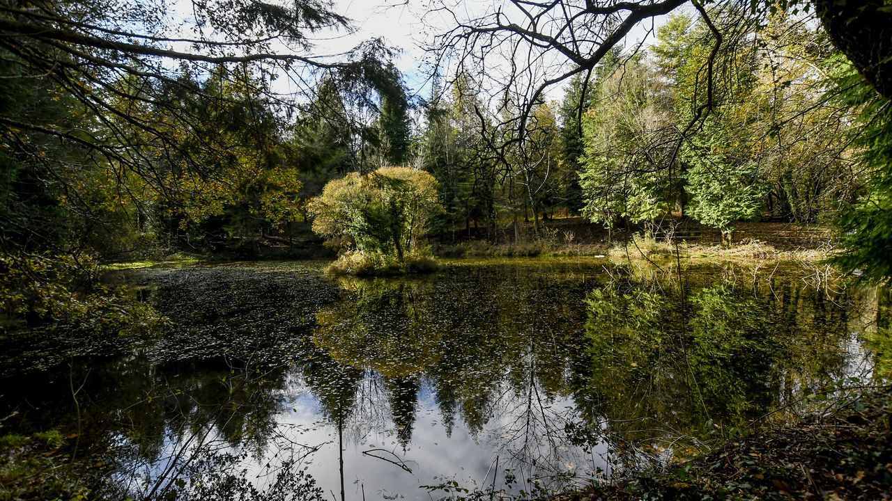 El lento renacer de los Lagos de Teixeiro, un lugar de ensueño a solo unos minutos de Lugo