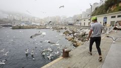 El covid afecta a marineros de dos barcos malpic�ns