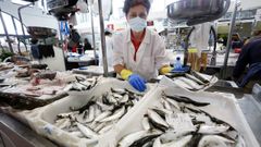 Sardinas de �xeiteiros� que se vend�an ayer en la plaza de abastos de Vilagarc�a