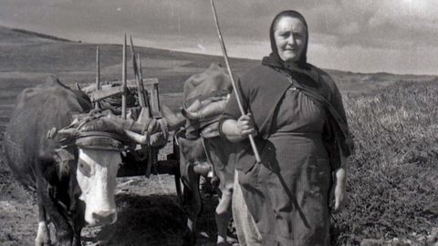 Trashumando en Naraval (Tineo, 1975). María Cátedra