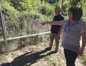 Vecinos de O Mor�n se�alan la finca donde se refugiaban los jabal�es, actualmente limpia de maleza