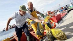 Los mariscadores rianxeiros a�n se resienten del cierre prematuro del libre marisqueo.