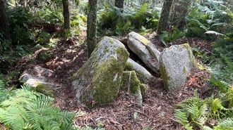 Vista del dolmen A Mina de Caxadas