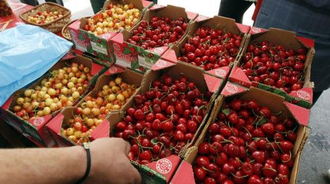 Cerezas de diferentes variedades en un puesto de venta de una edici�n anterior del festejo gastron�mico