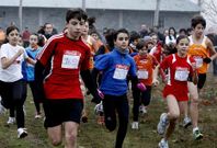 Un centenar de corredores compitieron en la clasificatoria de campo a trav�s en As Lamas.