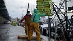 Imprescindible para faenar, la libreta martima identifica a todos los marinos, como estos pescadores que descargan en A Corua (foto de archivo)