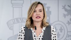 La ministra de Educacin, Formacin Profesional y Deportes y portavoz del Gobierno, Pilar Alegra, durante una rueda de prensa tras la reunin del Consejo de Ministros.