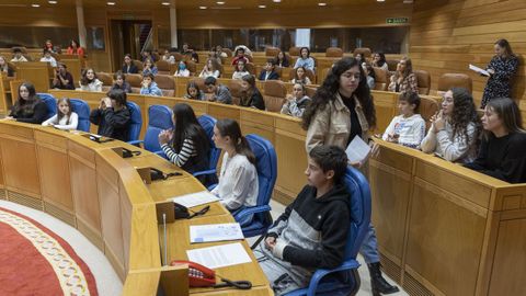 Los nios subieron al estrado en el Parlamento para exponer sus inquietudes. Doce portavoces de otros tantos concellos hablaron de sus preocupaciones y pidieron que las tutoras sirvan para solucionar conflictos y no para seguir estudiando materias