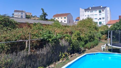 La maleza se extiende sin control desde la verja pegada a la calle hasta el fondo de la finca