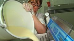 Elaboraci�n de helados en las instalaciones de la empresa Santorini, radicada en el municipio de Monforte