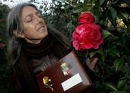 A Franco le resulta imposible saber la cantidad de plantas que tiene en su finca de O Chazo. 