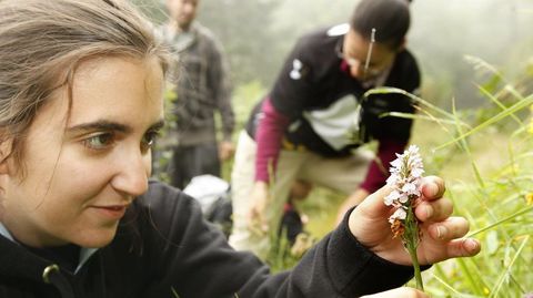 Unos botnicos buscan orqudeas en el camino que lleva del Alto do Couto a la Devesa da Rogueira, en una fotografa de archivo