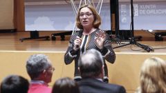 La presidente de la Fundaci�n Ingada, Elvira Ferrer, en una imagen de archivo