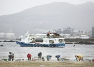 Las mariscadoras de Vilanova han visto c�mo sus ingresos se recuperaban el a�o pasado. 